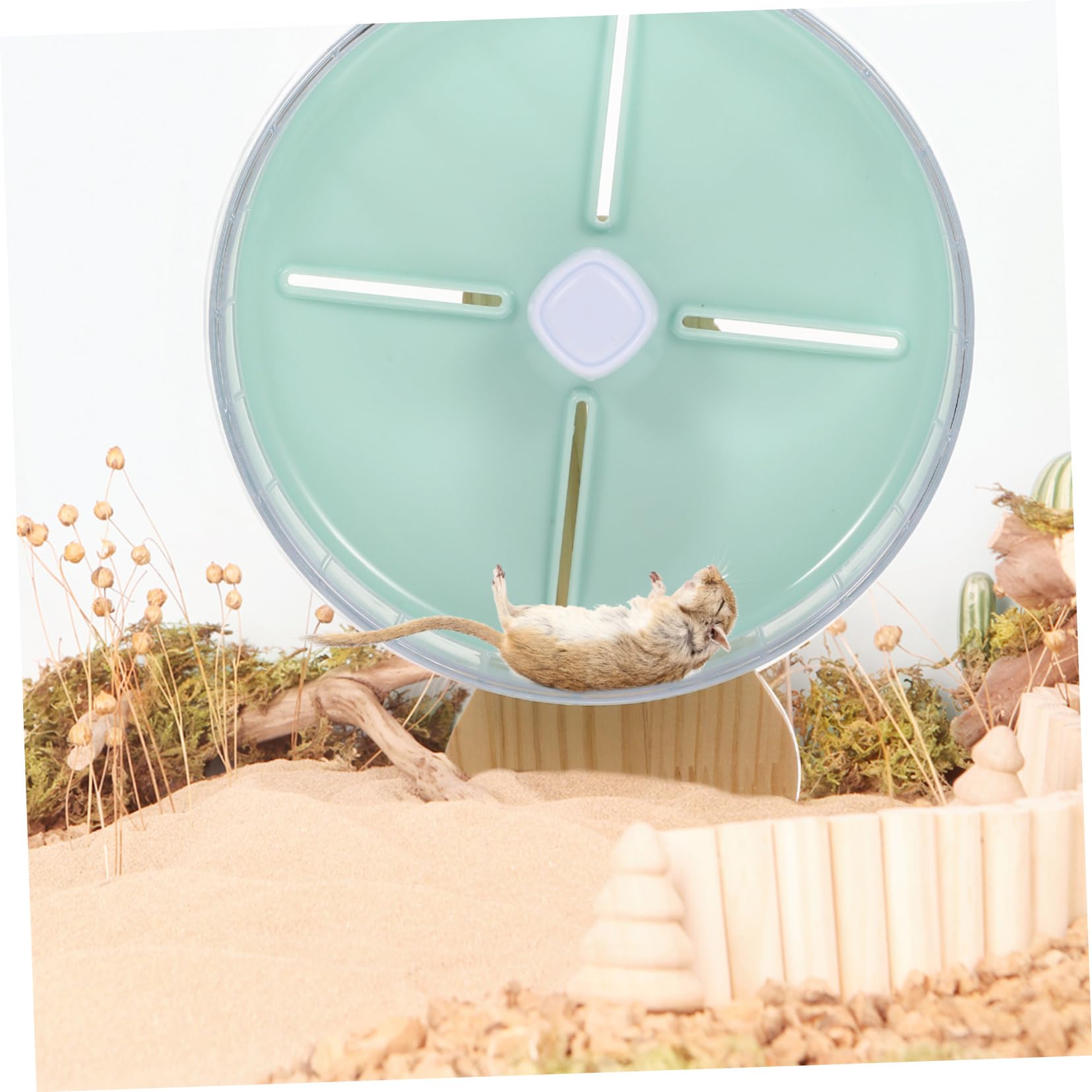Abaodam 1 Ensemble Roue Silencieuse pour Hamster Accessoire de Jeu pour Rongeurs et Chinchillas avec Support pour Petits Animaux