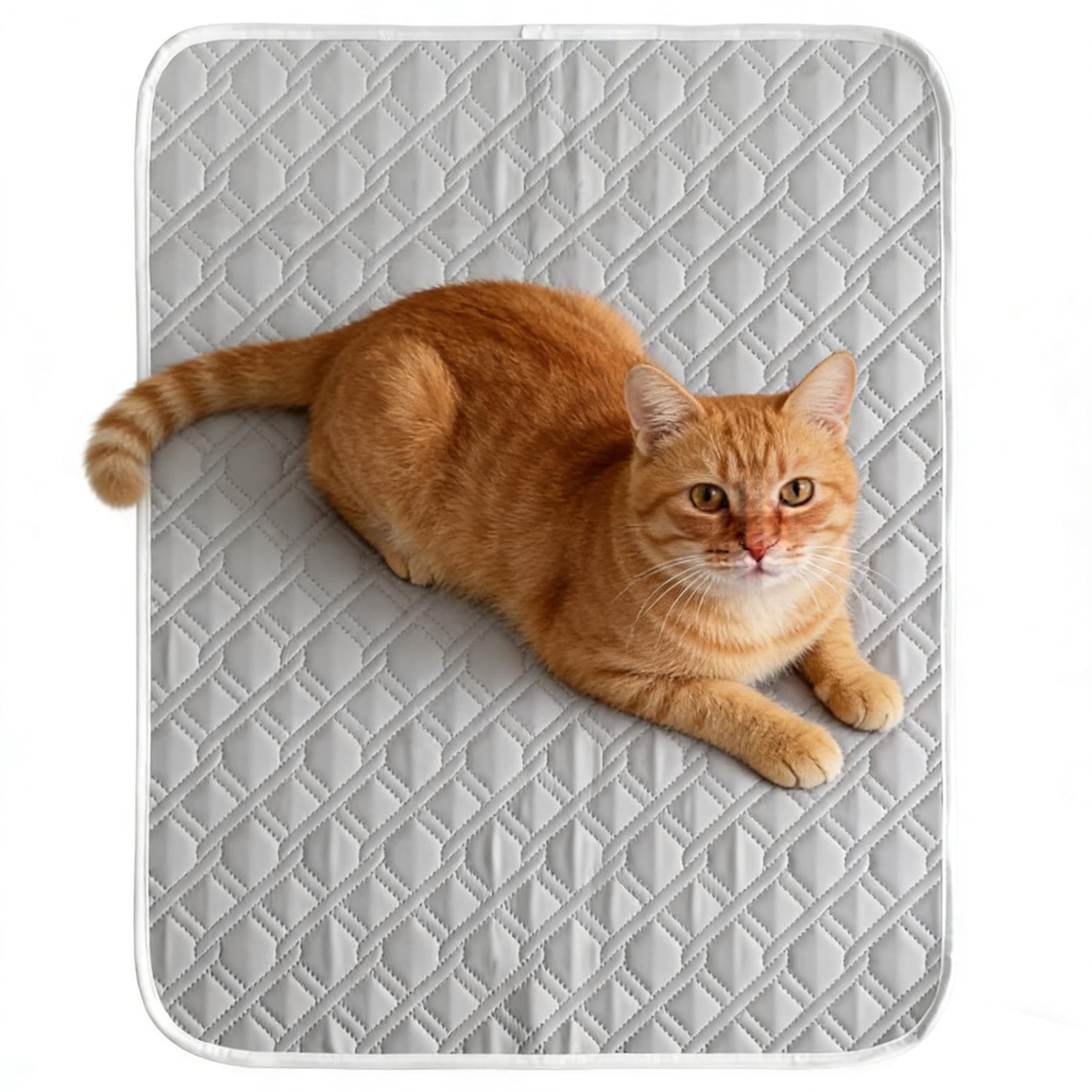 Materassino refrigerante per animali domestici 45x35 cm morbido cuscino per gatti cuccia lettino canile