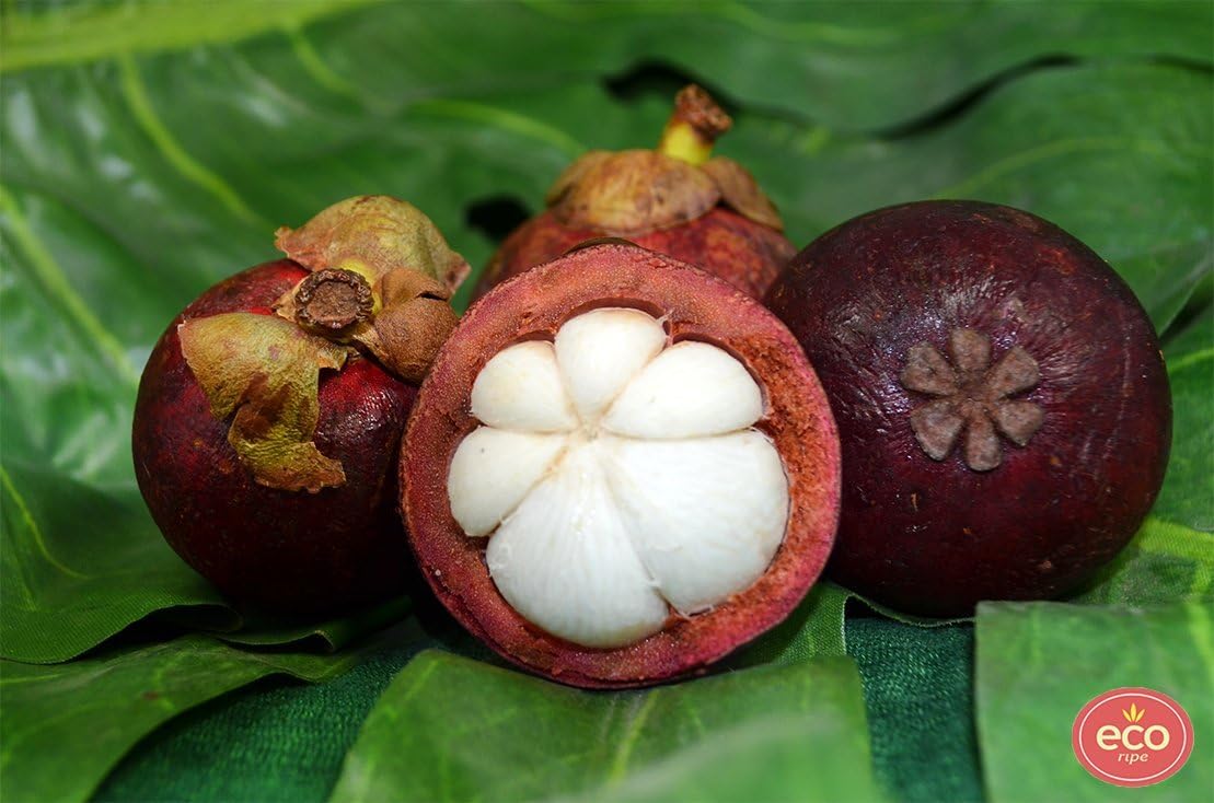 Fresh Mangosteen (7.5lb)