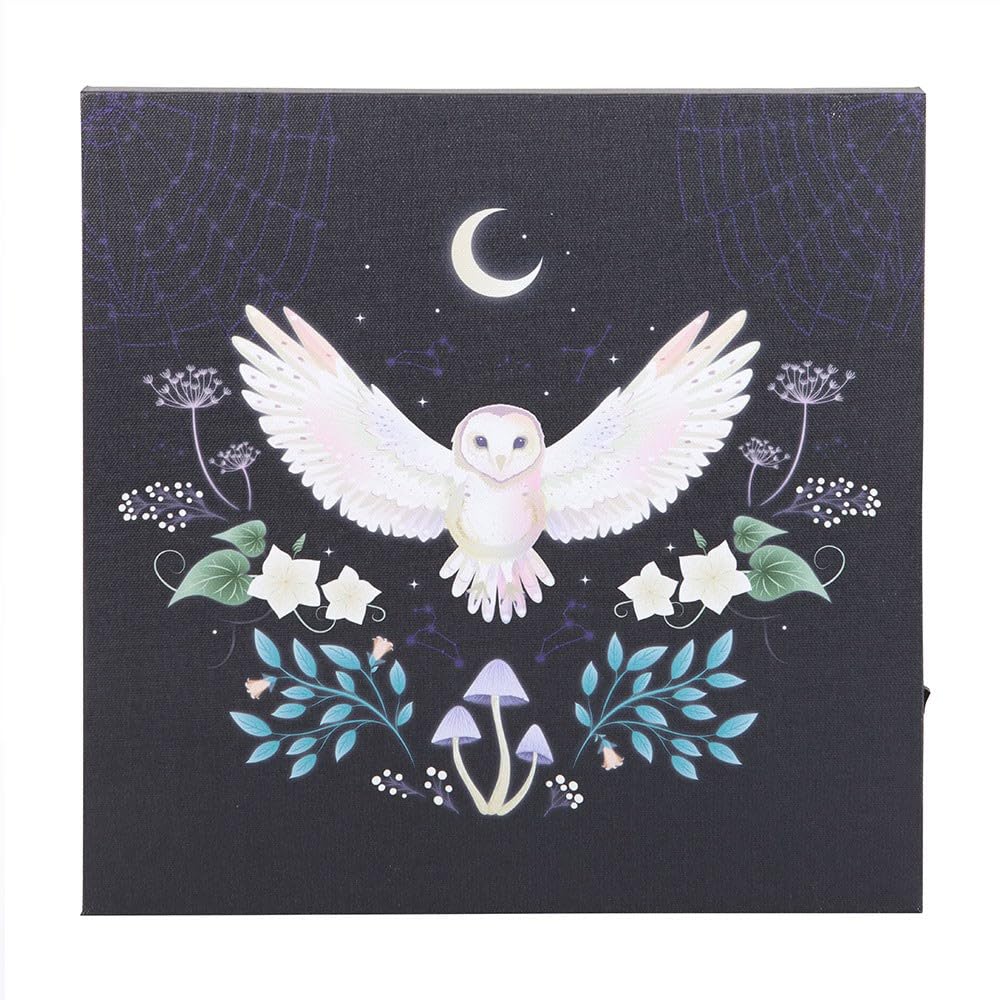 Blue Pirate Light Midnight Moth Up Canvas Plaque