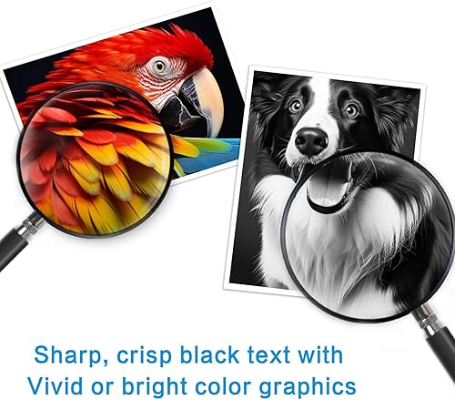 Miniatura 5 de Cartucho de tinta de alto rendimiento 67XL  Funciona con HP DeskJet serie 1255 2755 2725 2723 2722 Plus 4152 4155 Envy Pro 6458 6455 6052 Series