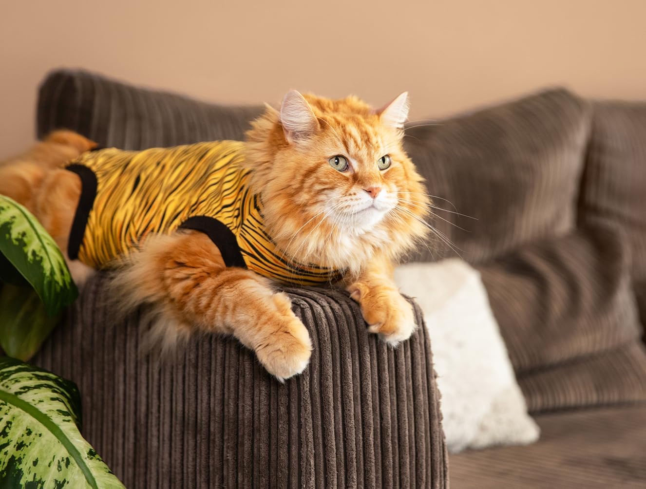 Suitical Cat Recovery Suit for Spay, Neuter, Suture, Incision, & Skin Conditions - Breathable Fabric with Back Opening - 11.4-14.6 Inches Neck to Tail, 13-16 Inches Chest - 3XS, Tiger Print
