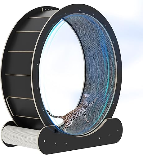 Rueda para gatos con 2 postes rascadores para gatos, ruedas grandes y silenciosas para gatos de interior que eliminan la falta de ejercicio en gatos