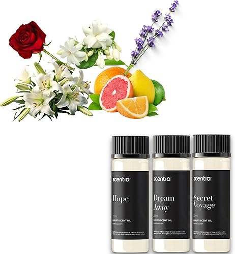 Juego de aceites esenciales inspirados en perfumes, 3 aceites difusores de 0.7 fl oz con notas florales y amaderadas, mezclas de fragancias de
