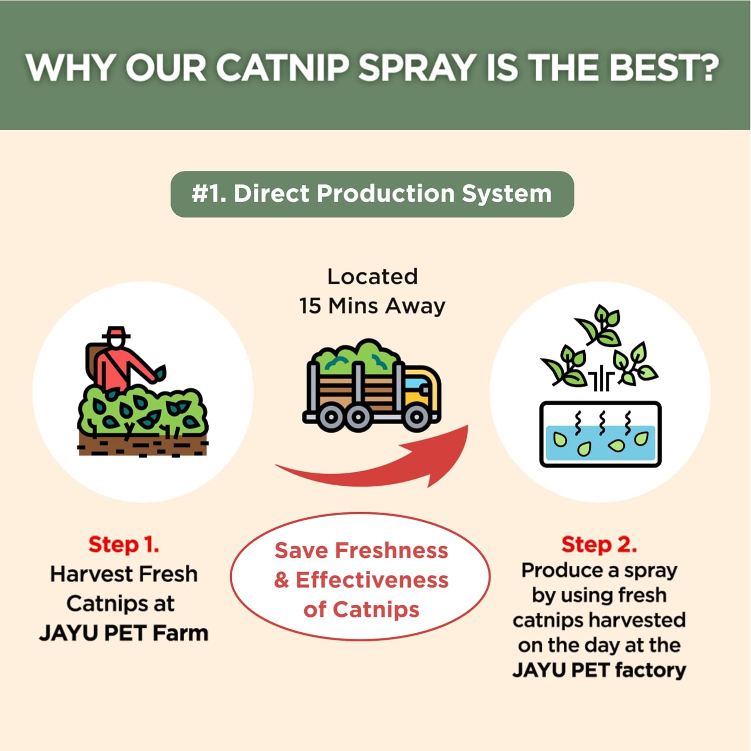 JAYU PET Active Catnip Spray - High Potency Transparent Liquid Spray Made of Fresh Organic Catnip for Indoor Cats and Kittens, Relieves Stress, Calming, Revives Toys (1fl oz) (Catnip Spray, 1fl oz)