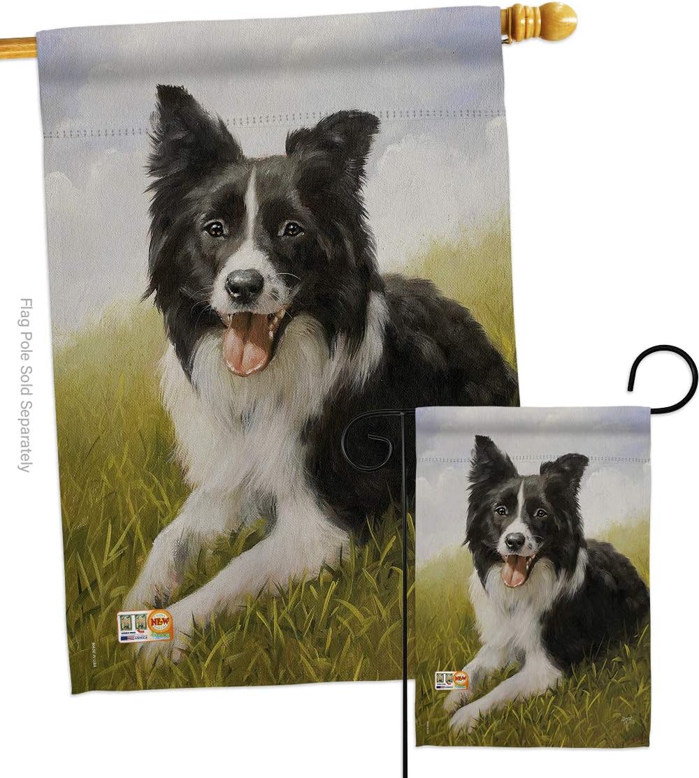 Dog Border Collie Garden House Flags Set Animals Puppy Spoiled Paw Canine Fur Pet Nature Farm Animal Creature Small Decorative Gift Yard Banner Made In USA 28 X 40