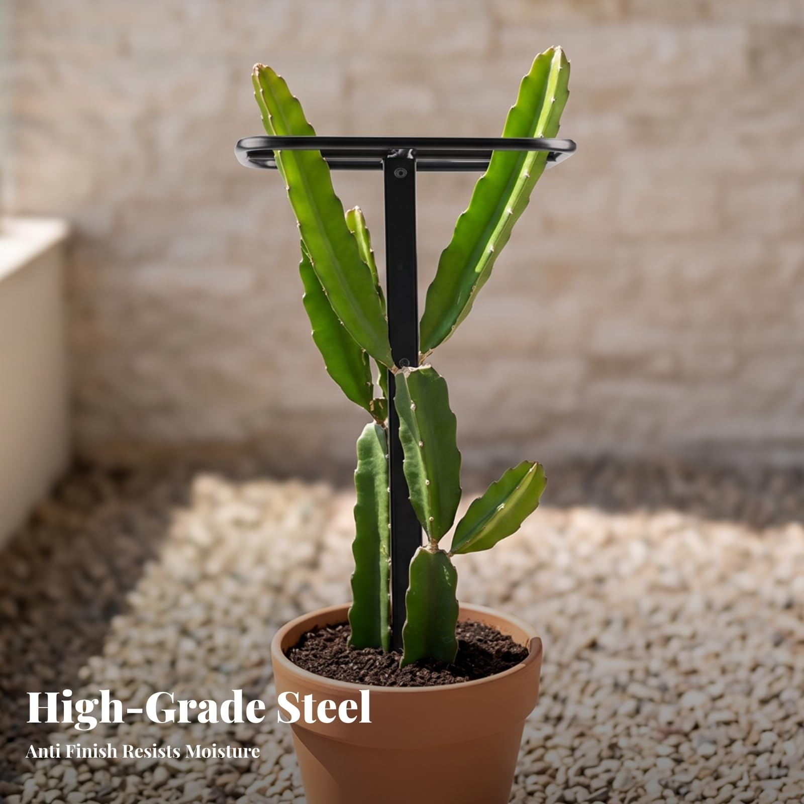 Tuteur pour Plantes Grimpantes