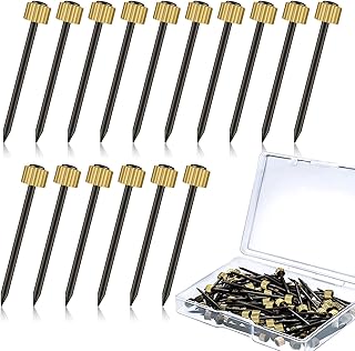 Picture Hanging Nails, 60Pcs Photo Frame Nails Brass Head Pictures Hanger Pins with Storage Box for Photo Picture Frame Hanging