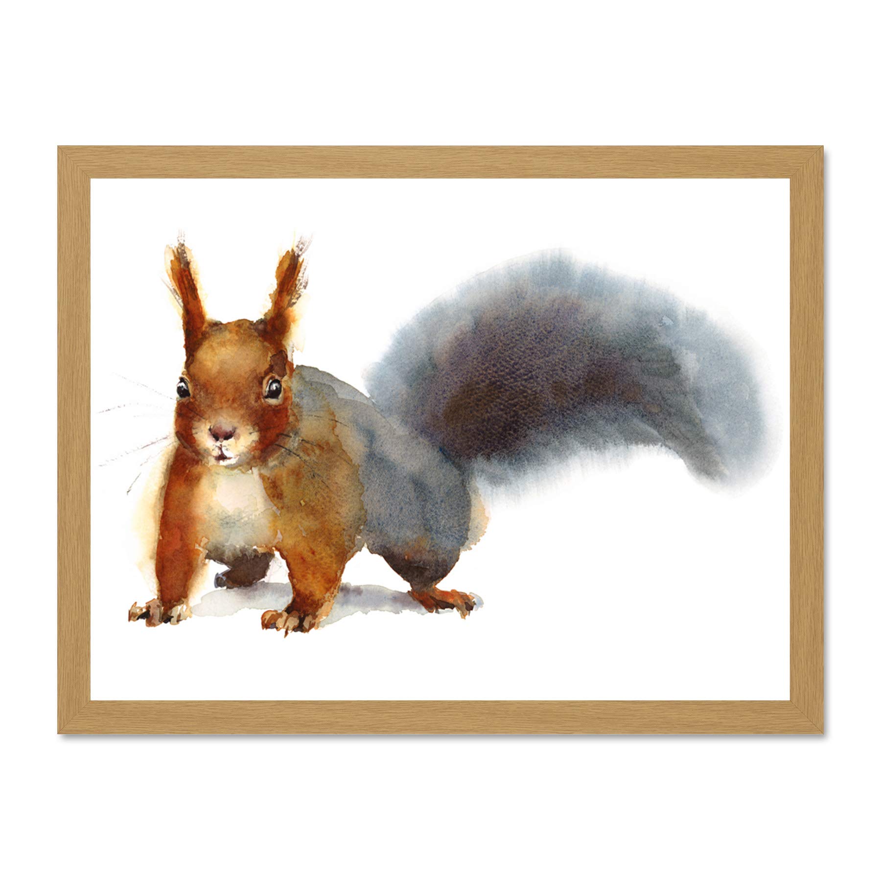 Wee Blue Coo Squirrel Watercolour Cute Large Framed Art Print Wall Poster 18x24 inch