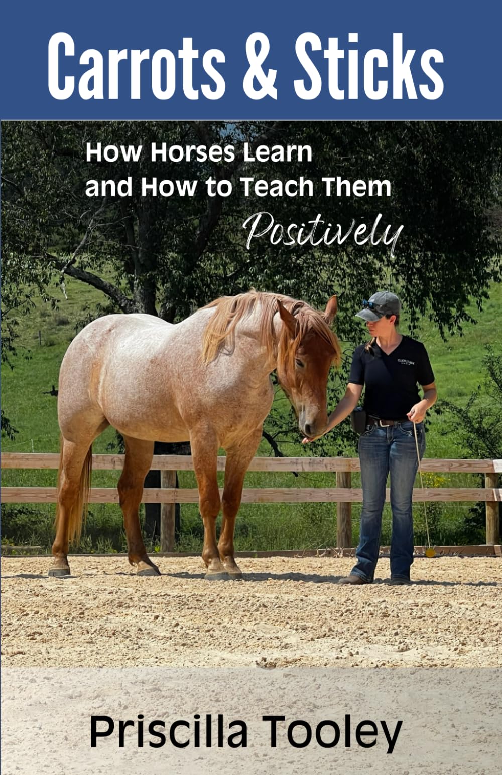 Carrots & Sticks: How Horses Learn and How to Teach Them Positively
