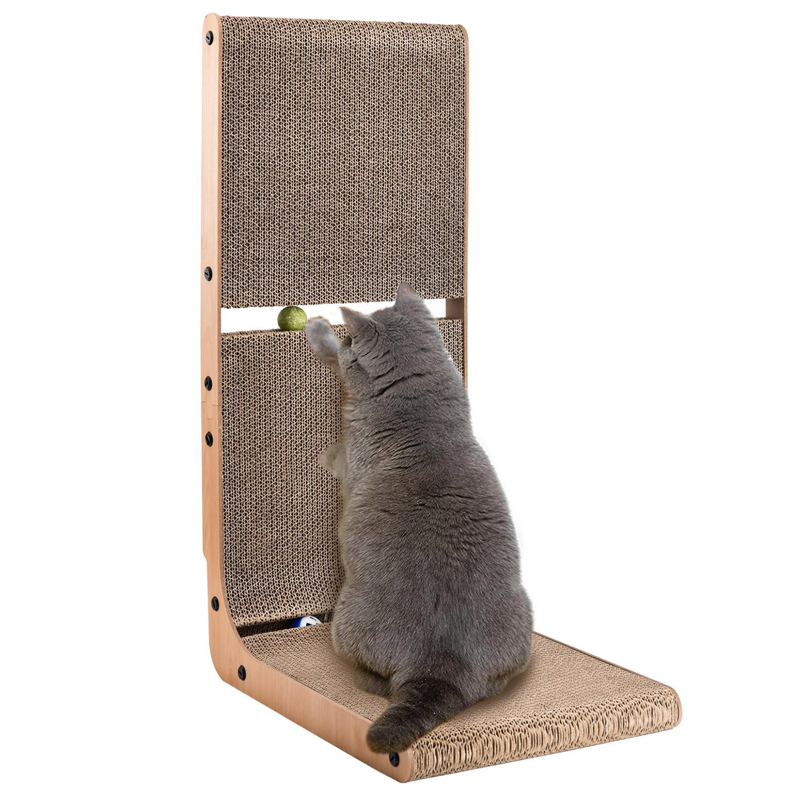 猫 a4 B03-049.png