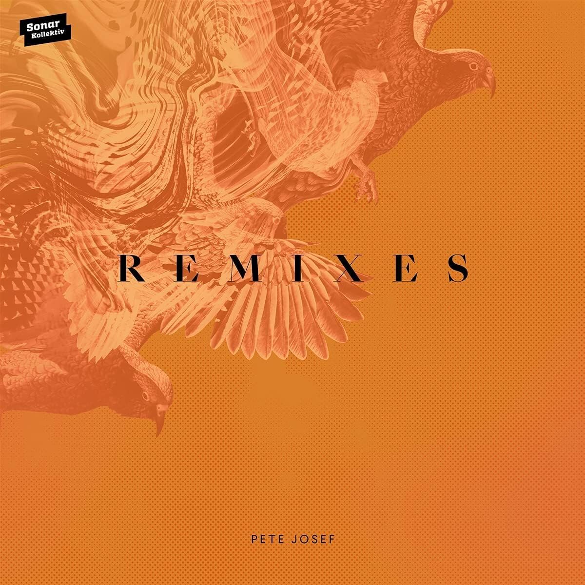 REMIXES [VINYL]