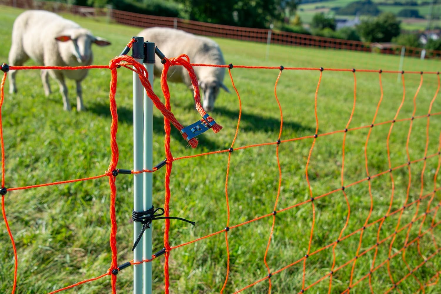 horizont easyLine Schafzaun 50m – 90cm hoch, Weidezaun Schafe, Elektrozaun