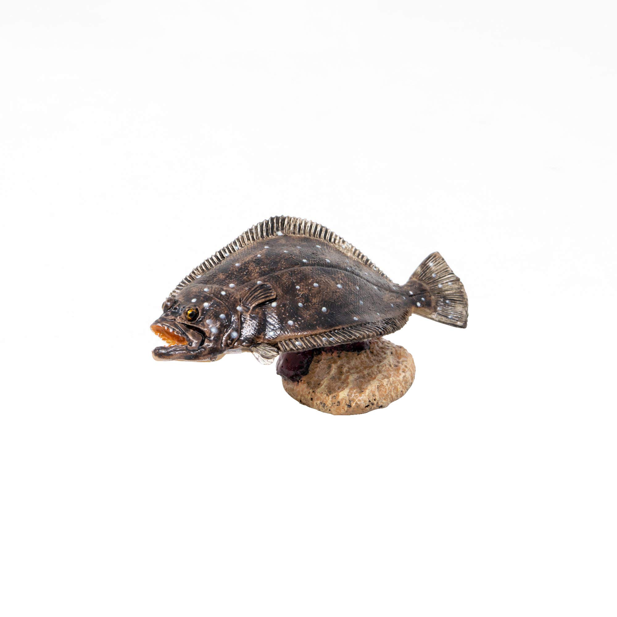 Amazon.co.jp: AF-208 Flounder Mini Model : Toys & Games