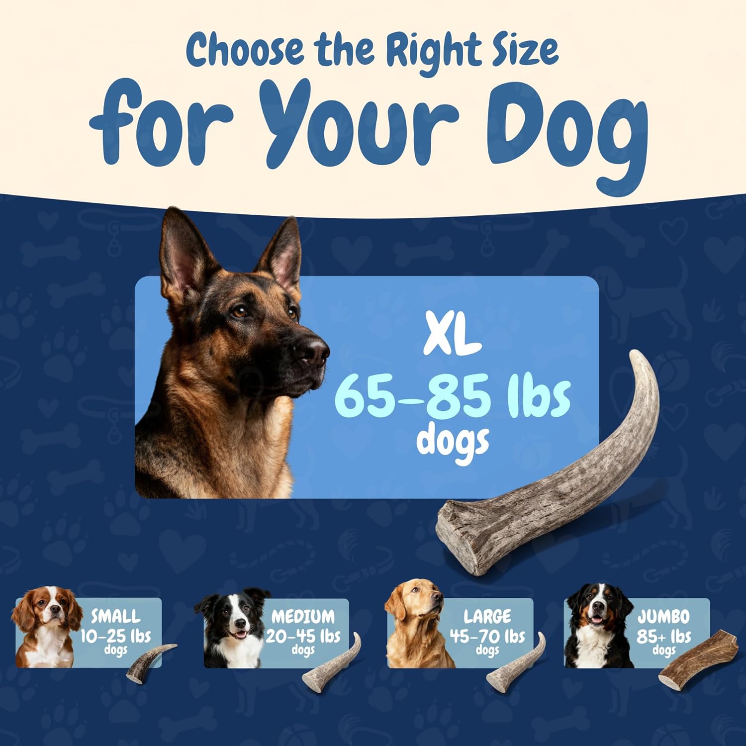 K9warehouse Natural Elk Antlers for Dogs - Premium Grade Dog Antler Chews - Long-Lasting Whole Deer Antles Ideal for Aggressive Chewers - Safe USA Sourced Chew for Medium and Large Dogs - 1 Pack