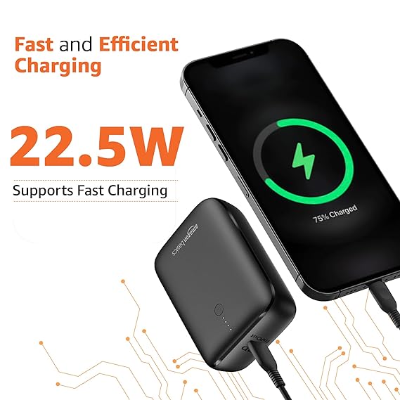 Amazon Basics Nano Power Bank 10000mAh