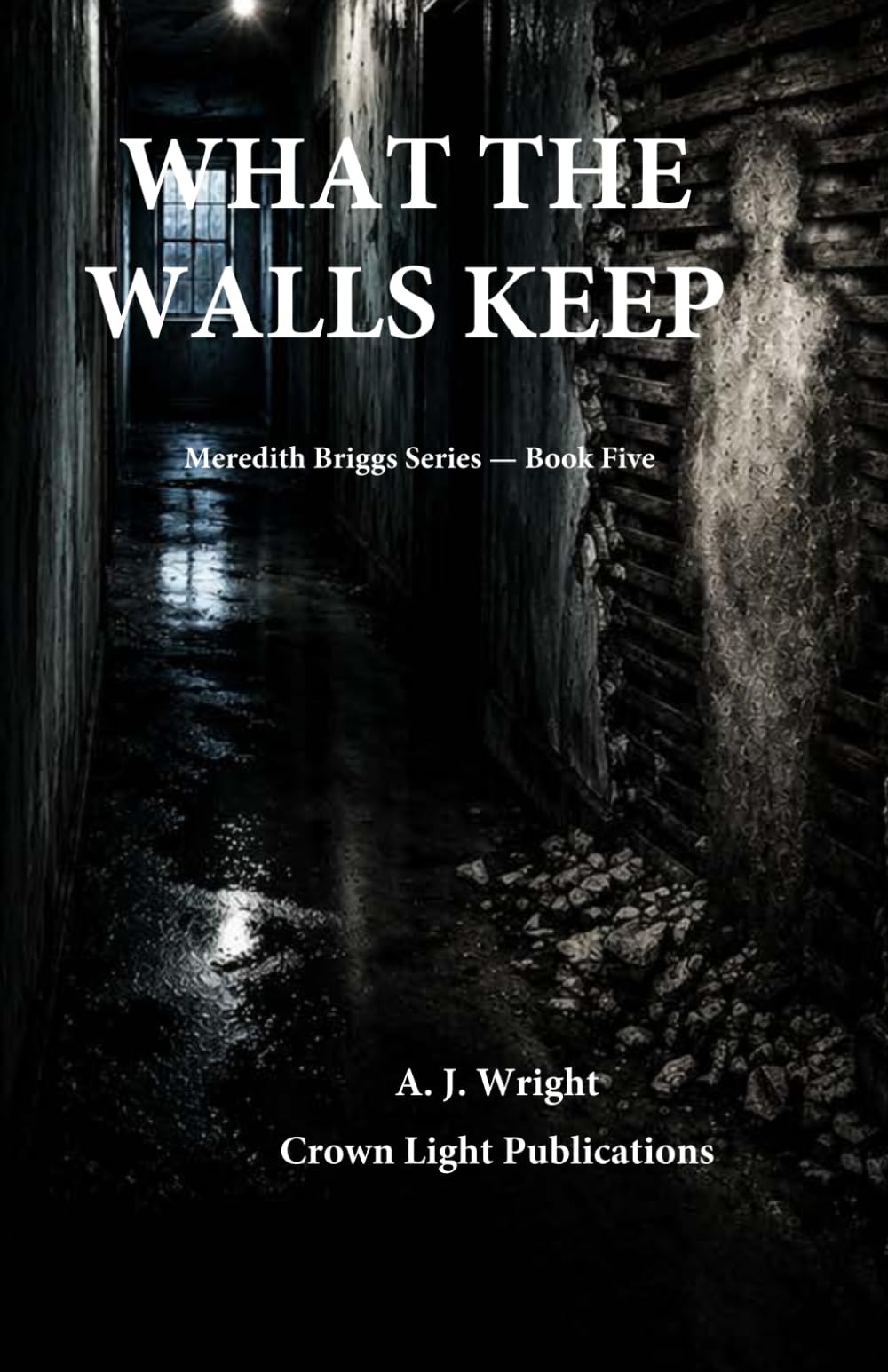 WHAT THE WALLS KEEP Meredith Briggs Series — Book Five
