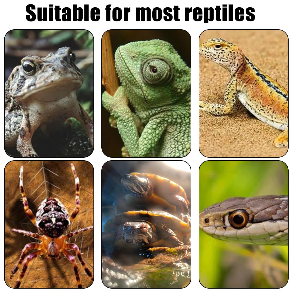 NANEEZOO Lampada Per Riscaldamento Rettile, Con Rotazione A 360°, In Ceramica, Con Cavo E Spina E27, Base In Porcellana, Per Acquario, Tartaruga, Serpenti, Lucertole, Luce UV