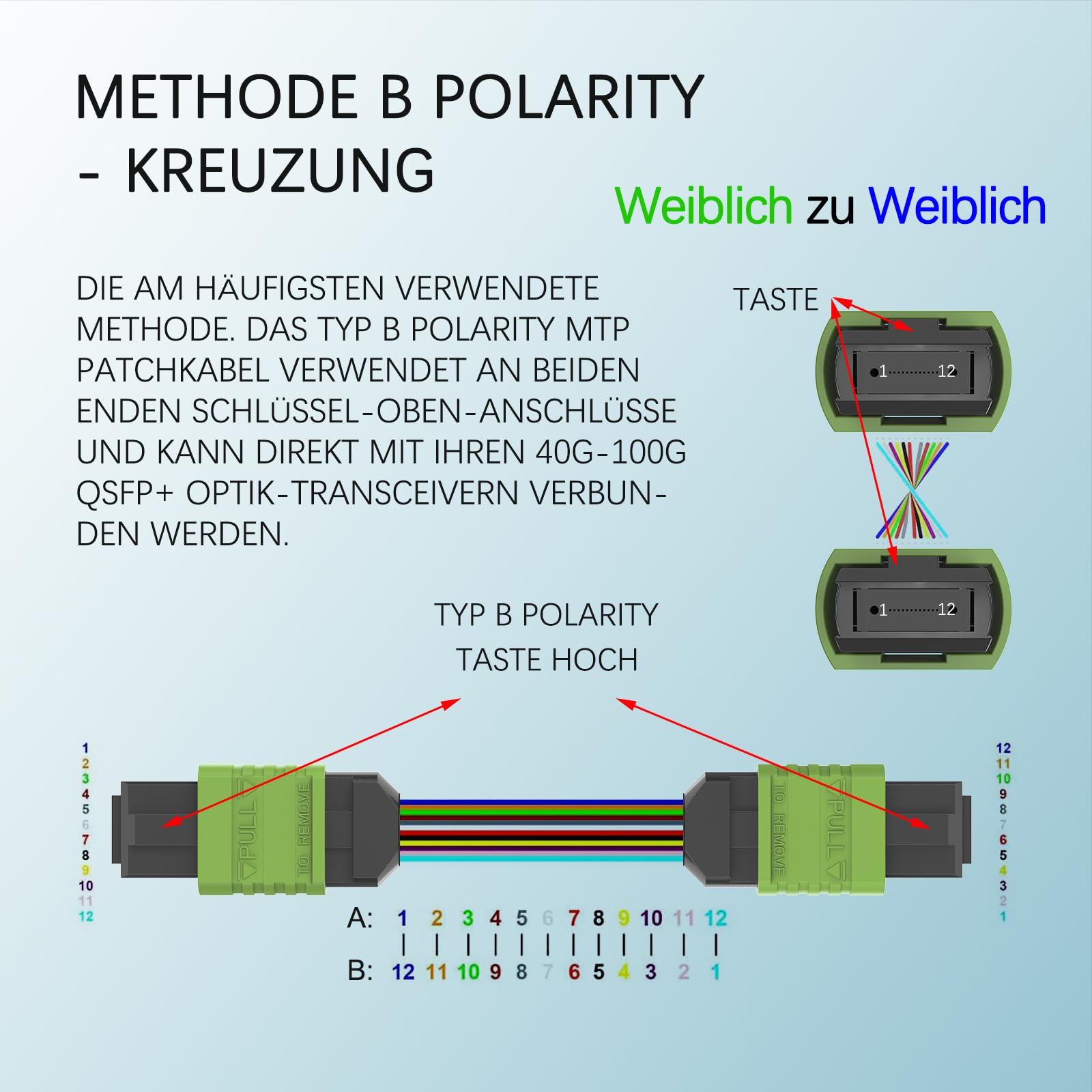 Câble Patch MPO-MPO Multimode 12 Fibres OM3 - Fibre Optique APC Haute Vitesse - Compatible NVIDIA DGX Station - Longueur 20m - Blindé Industriel