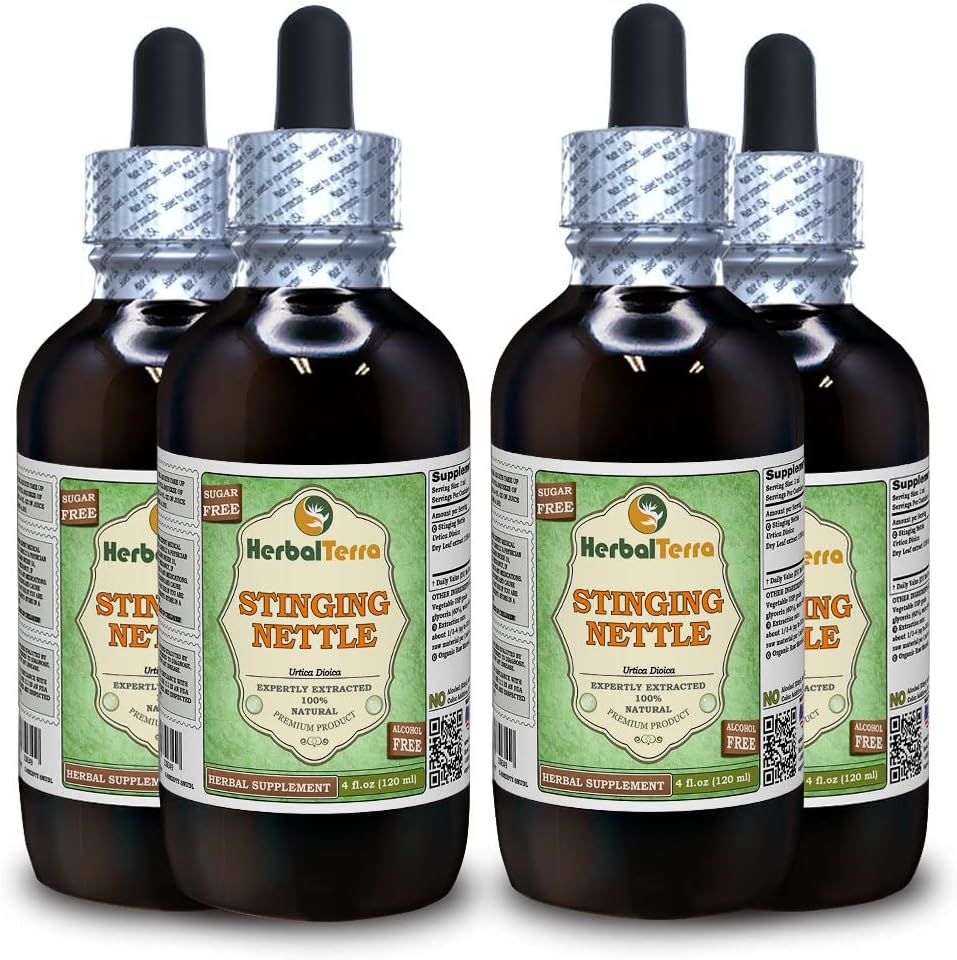 Stinging Nettle (Urtica Dioica) Glycerite, Organic Dried Leaves Alcohol-Free Liquid Extract (Brand Name: HerbalTerra, Proudly Made in USA) 4x4 fl.oz (4x120 ml)