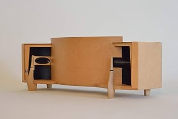 71CbSVFyX8L._UF350,350_QL80_.jpg