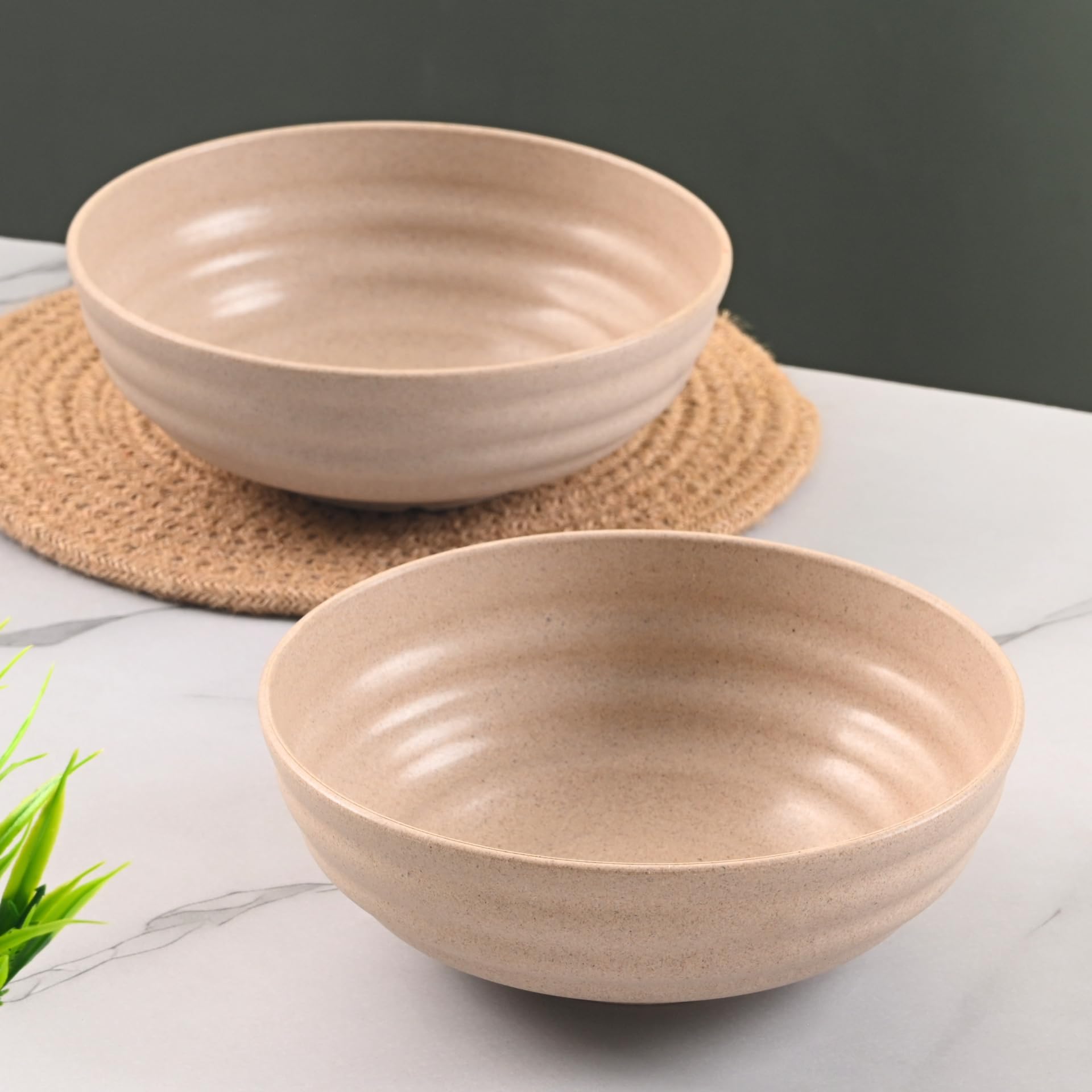 Eha Earth Friendly Ramen Bowls - Sustainable Dinnerware -11 Eha Earth Friendly Ramen Bowls - Sustainable Dinnerware -11