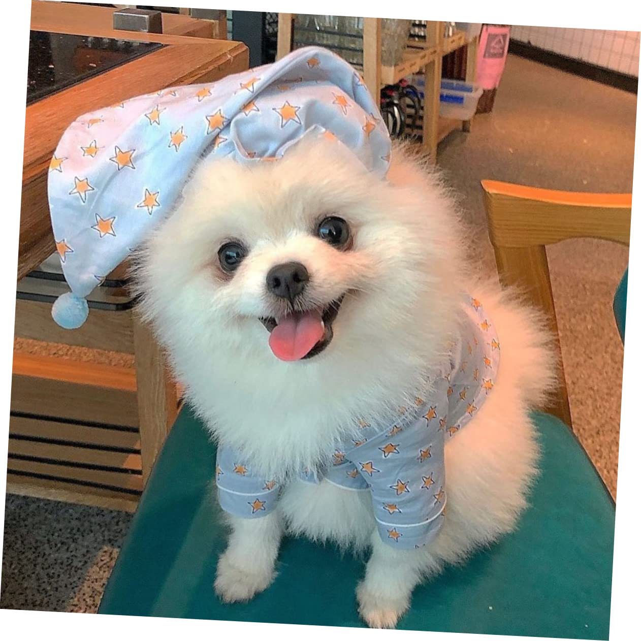 Angoily Tuta per Cani in Cotone Blu Design a Due Gambe, Calda e Facile da Indossare, per Quotidiano e Gioco dei Cani