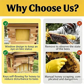 Compact Self-Flow Beehive Starter Kit, Automatic Wooden Hive Box with Observation Window for Beginner Beekeepers, Small Garden Use