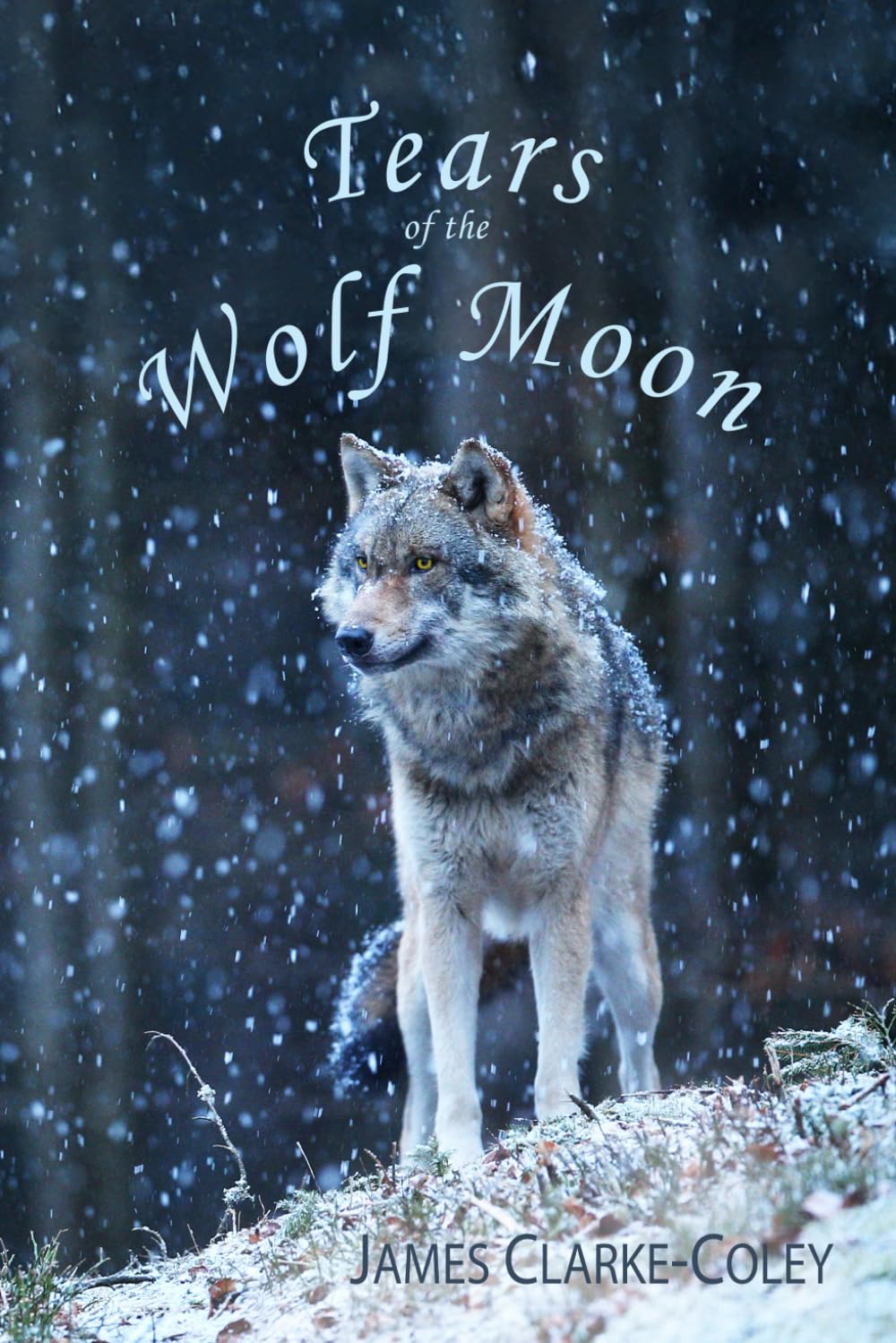 Tears of the Wolf Moon: 2 (Wildlife Poems for Fireside Reads)