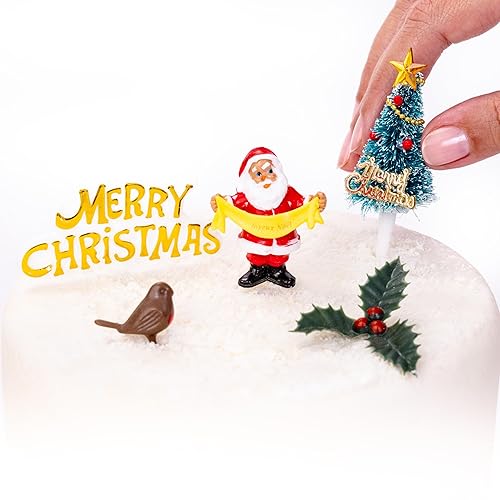 Christmas Cake Decorations Toppers 5 Piece Set - 3D Santa,