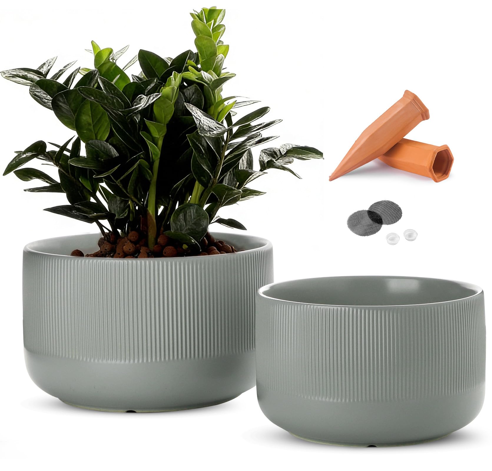 Jardin Tesoro Set of 2 Ceramic Planters