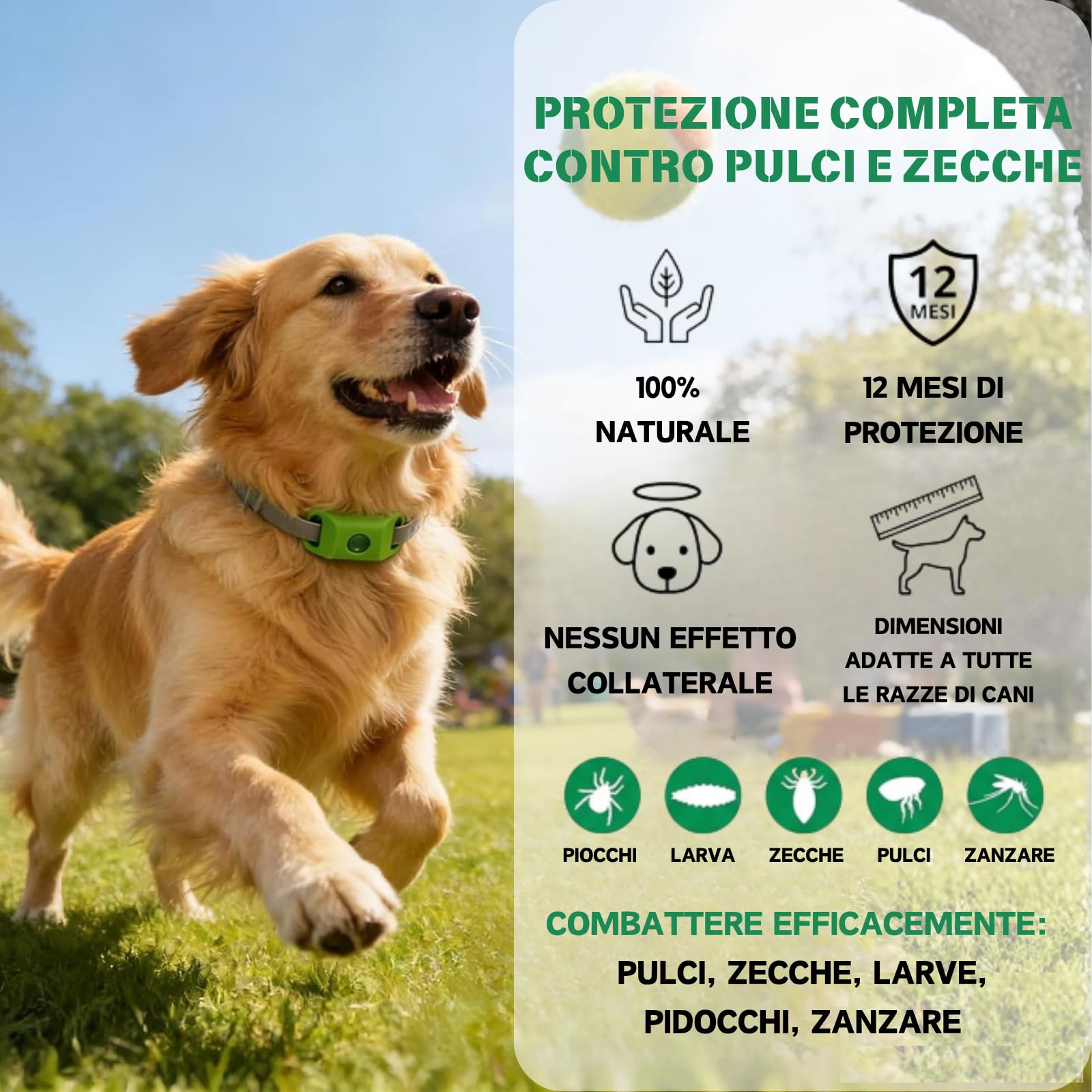 Aquality Pets Collare Antiparassitario Naturale, Collare Antiparassitario Per Cani, Adatto a Più Razze Di Animali Domestici, Gatti e Cani Universali