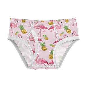 Boys Exclusive Briefs Toddler Underwear 95 Combed Cotton Boxerbriefs 2T Pineapple Flamingo