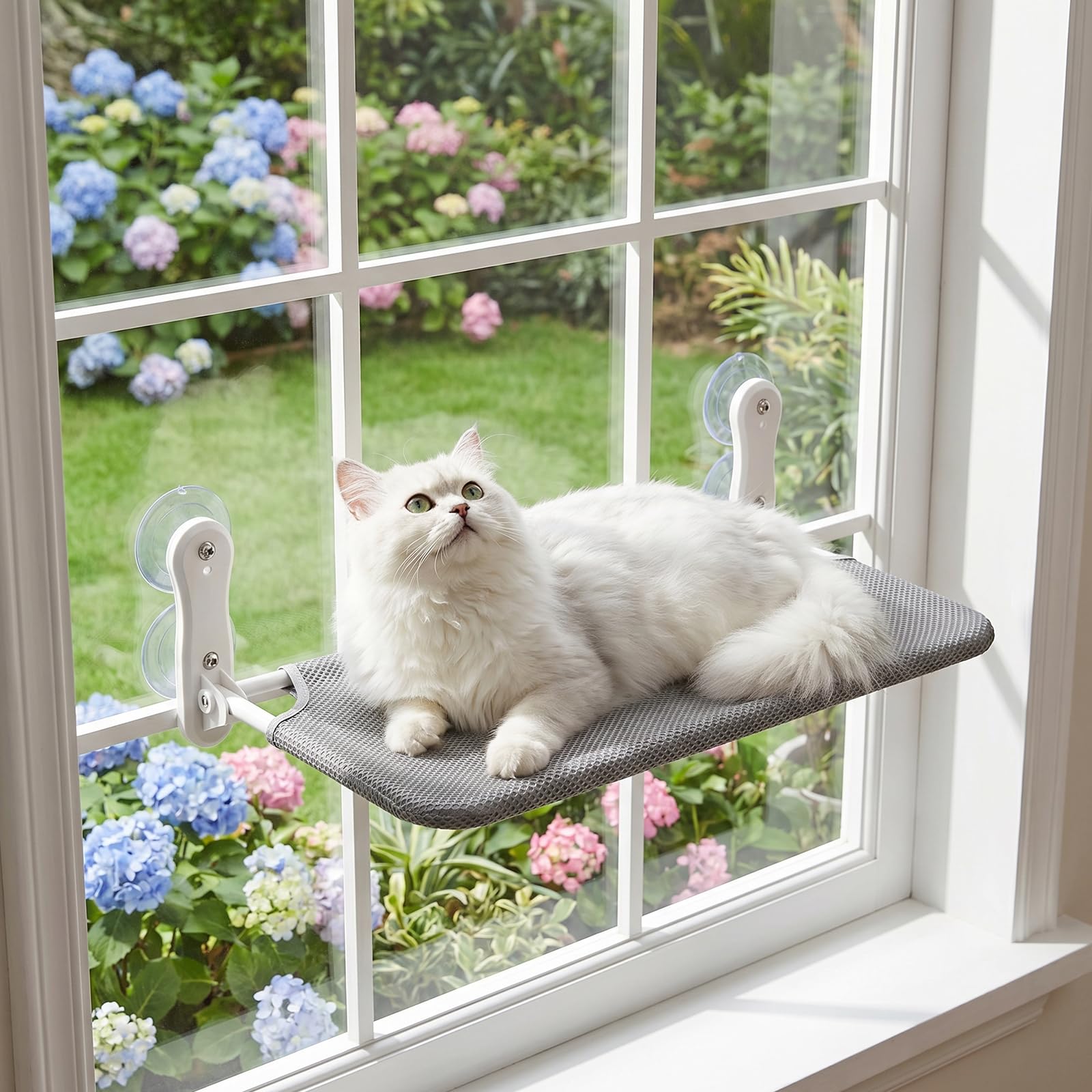 Kätzchen hängematte,fensterliegeplatz für Katzen mit Stabil Saugnäpfe,Katzenhängebett Fenster, Belast Gewicht zu 25KG 52.2 * 39cm(Grau)