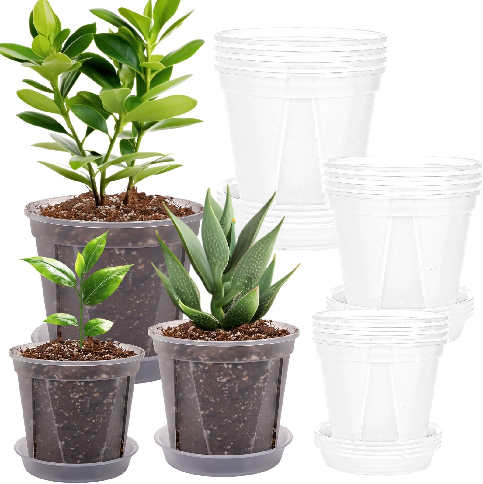 CEWOR 12 Pack 4/5/6 Inch Clear Nursery Pots with Drainage, Plastic Plant Pots with Saucer for Flowers, Succulent, Herb, Indoor Plants, Transparent Seed Starting Pots Variety Pack