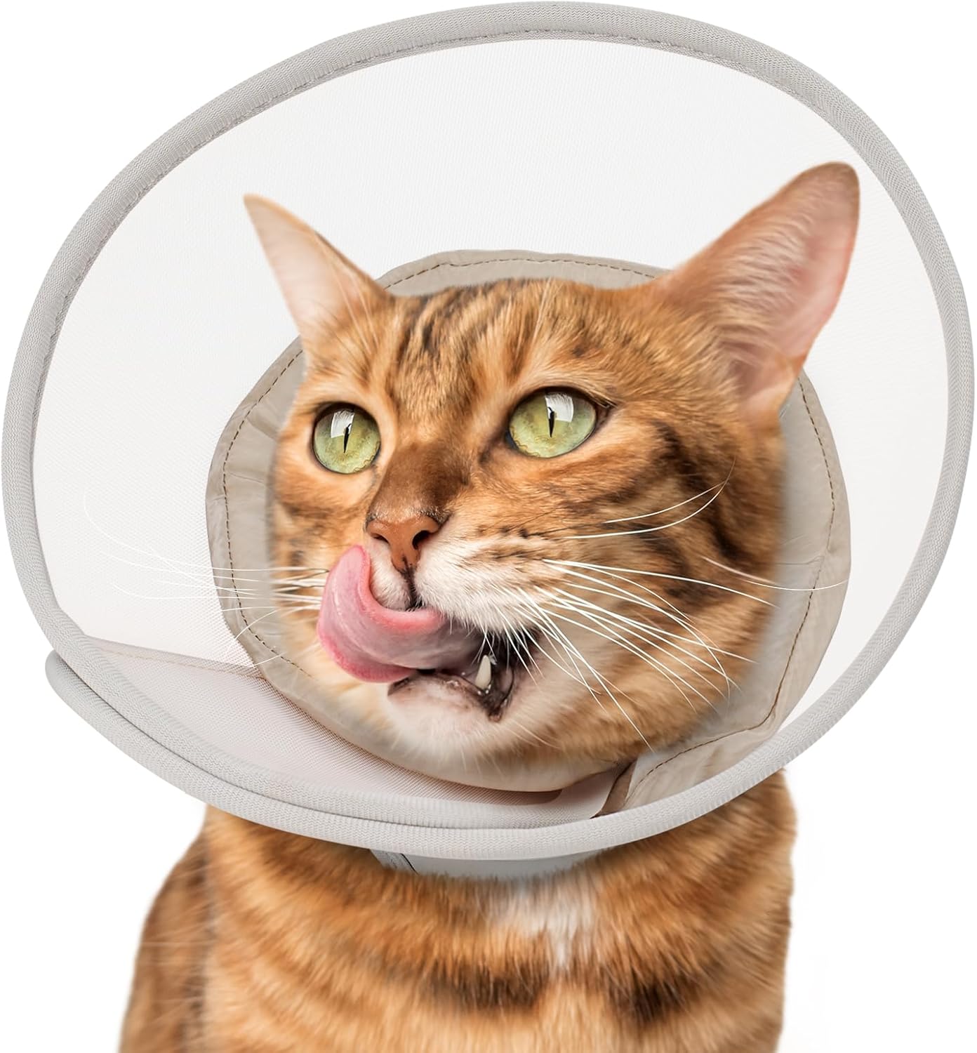 Cat Cone Collar Soft: Comfortable Waterproof Mesh Recovery Cone After Surgery to Stop Licking and Scratch, Alternative to Plastic Elizabeth Head/Neck Cone,M