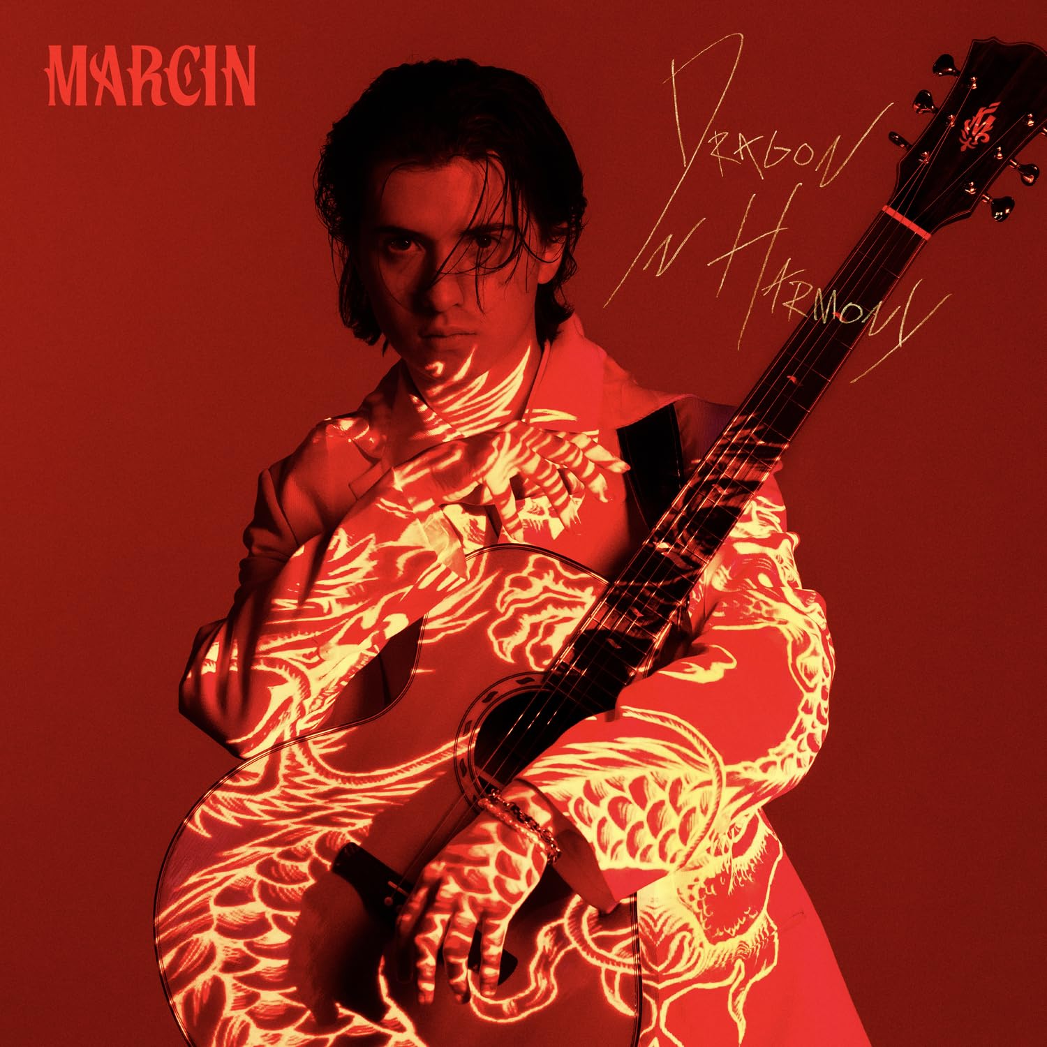 Dragon In Harmony [VINYL]