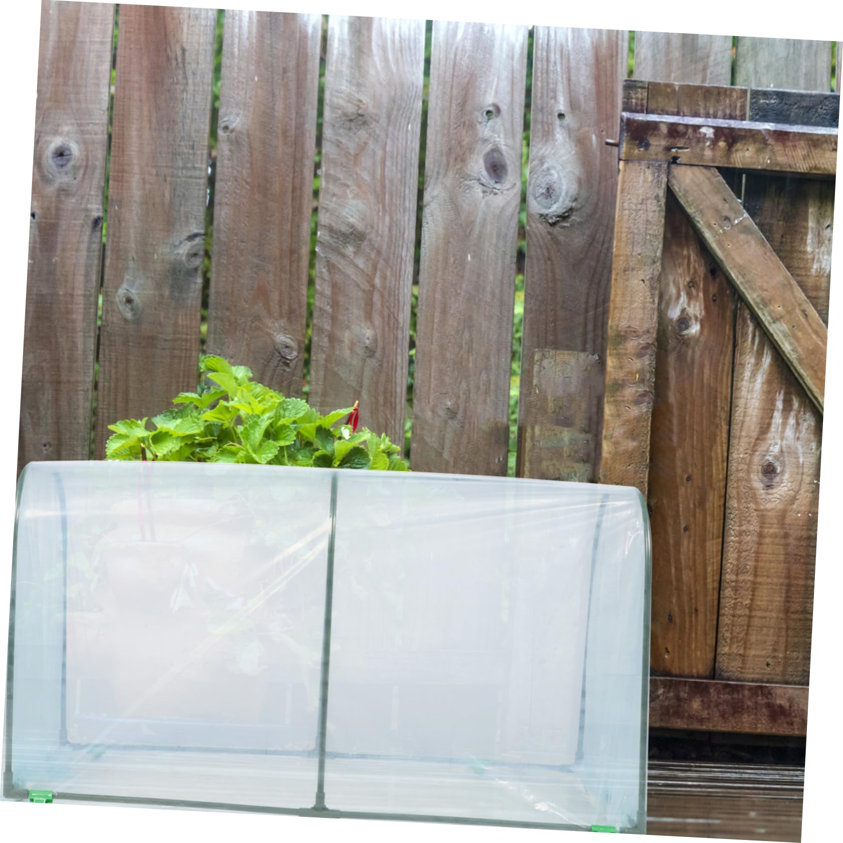 BESPORTBLE Invernadero de Flores para Jardín, Cubierta a Prueba de Frío y Nieve, Protección Térmica para Plantas en Invierno, Funda Transparente Plástico Duradero