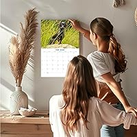 Vista 1034 de Razas de Perros 2017