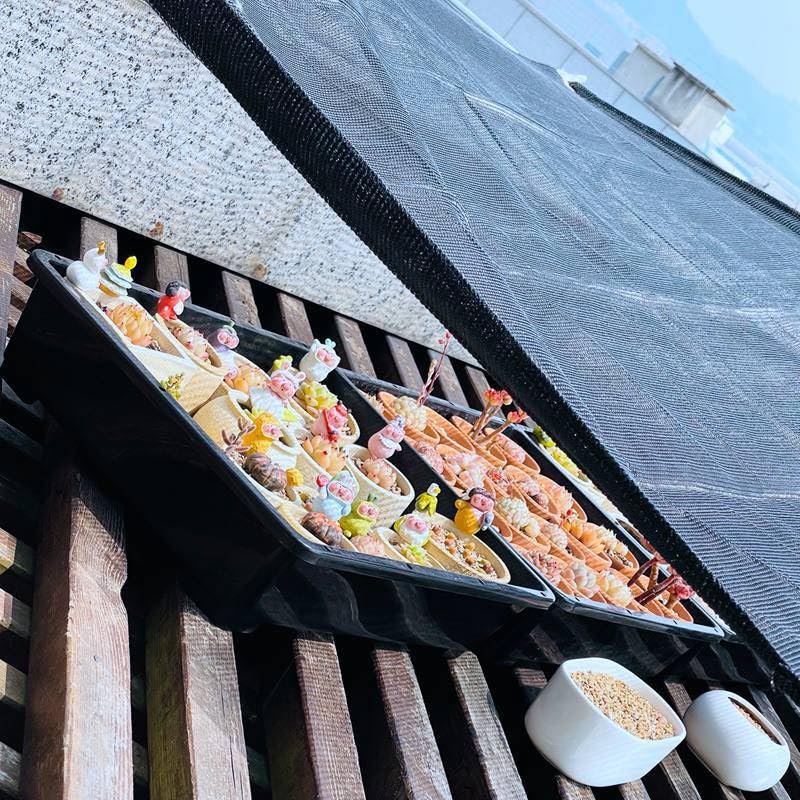 Filet pare-soleil balcon occultant pour protéger les plantes du soleil - 5