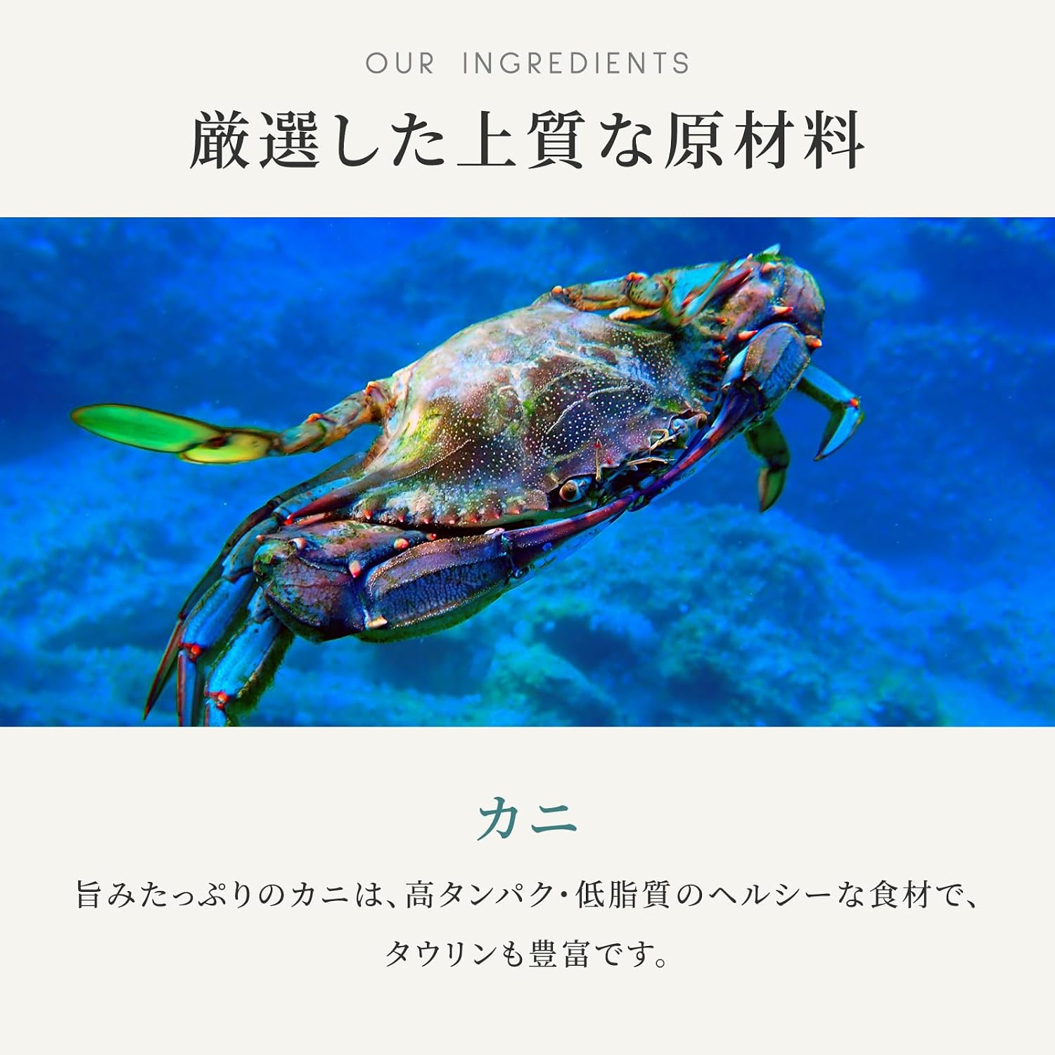 カナガン キャットフード マグロ＆カニ 缶詰