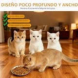 Ver la foto 5