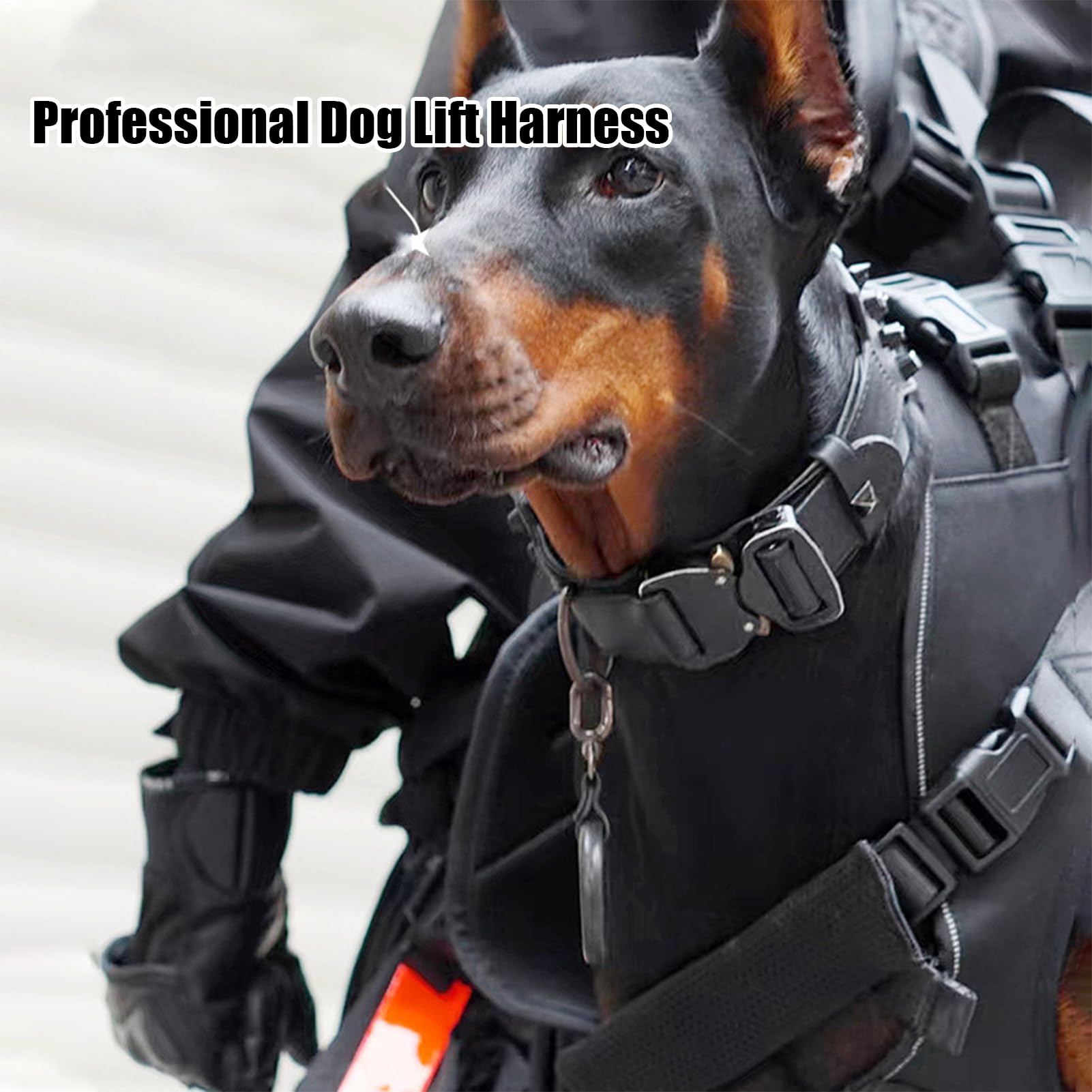 Cinturón de elift de Perros para Perros - Profesional Cinturón de | Transporte Soporte de Cuerpo Completo | Arnés de Tela de Oxford con un de piernas Delanteras | C