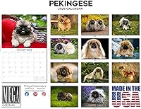 Vista 667 de Razas de Perros 2017