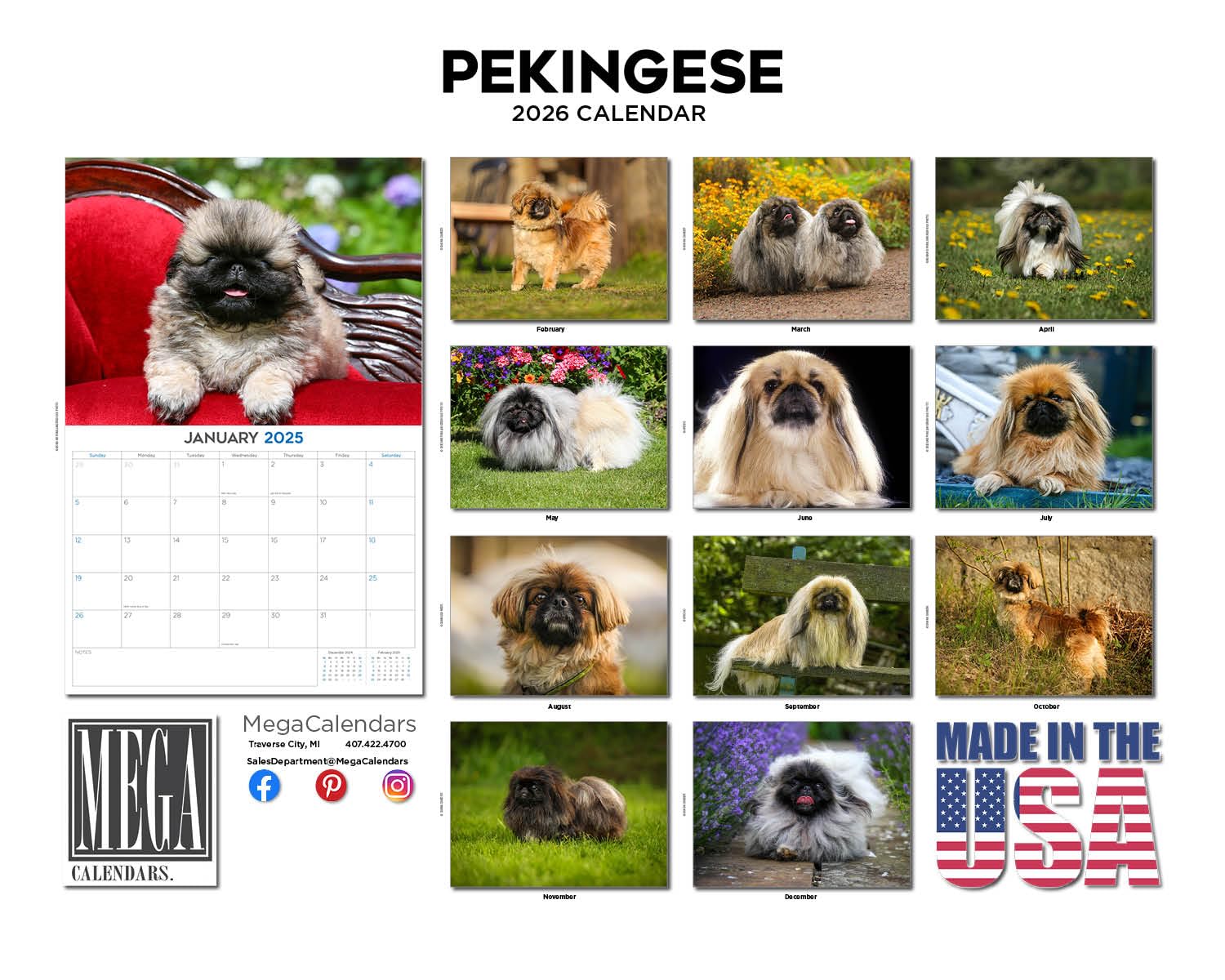 Calendario pequinés 2024 2025 – Calendario mensual de pared de raza de perro – 12 x 18 pulgadas abierto – Papel grueso que no se corre – Regalo – Calendario académico para profesores organizando y