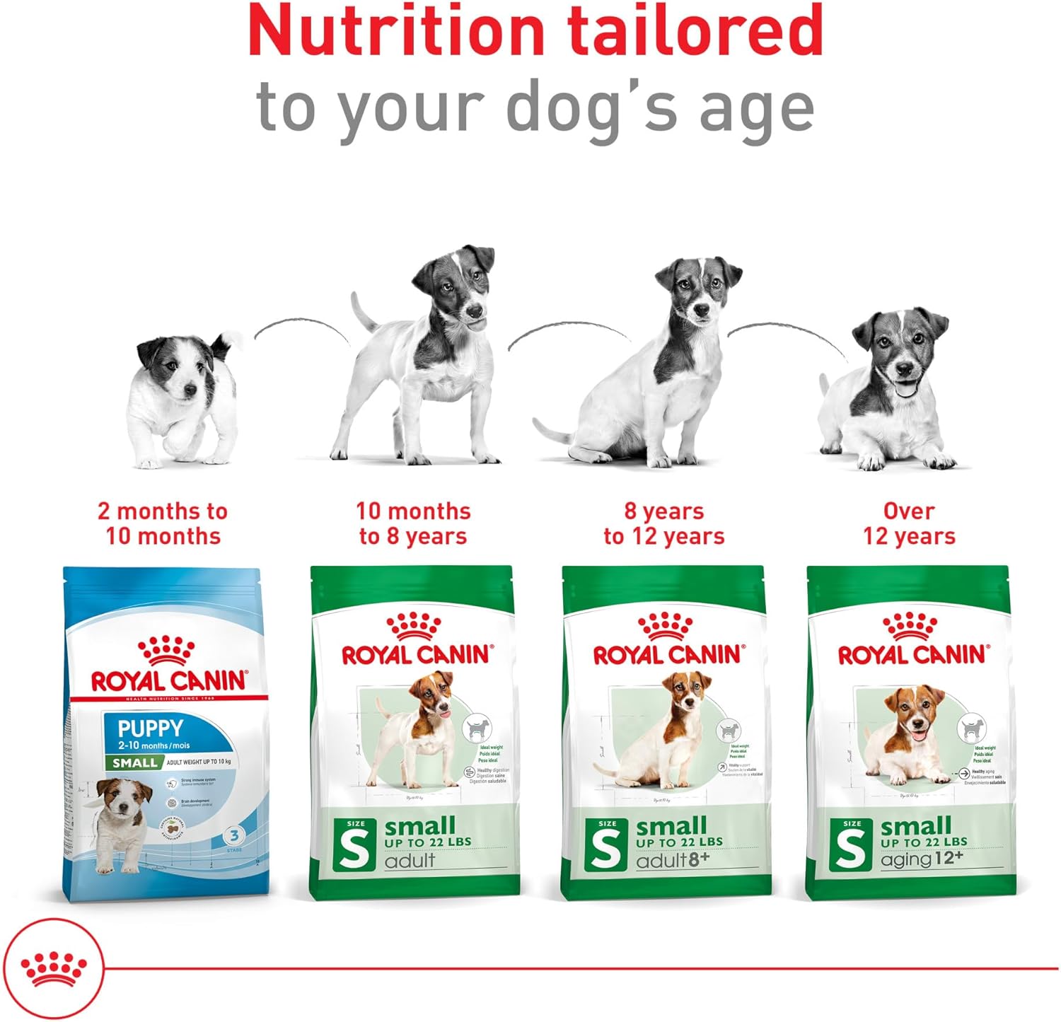 Royal Canin Size Health Nutrition Small Adult Dry Dog Food, 4 lb Bag - Image 8