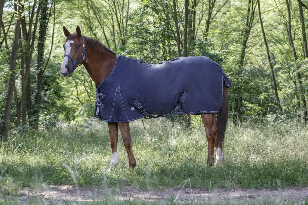(Ekia) 3338025595209 Horse Riding Equipment ETH.Essent.COT.Sheet NY/GR 6 '3 400040163, oner Size, Other