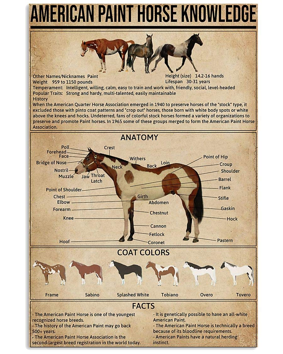 Jiufotk American Paint Horse Knowledge Metal Signs Cowboy Guide Anatomy Poster Wall Decor Farm Club Decor Home Decor Plaque 8X12 Inches