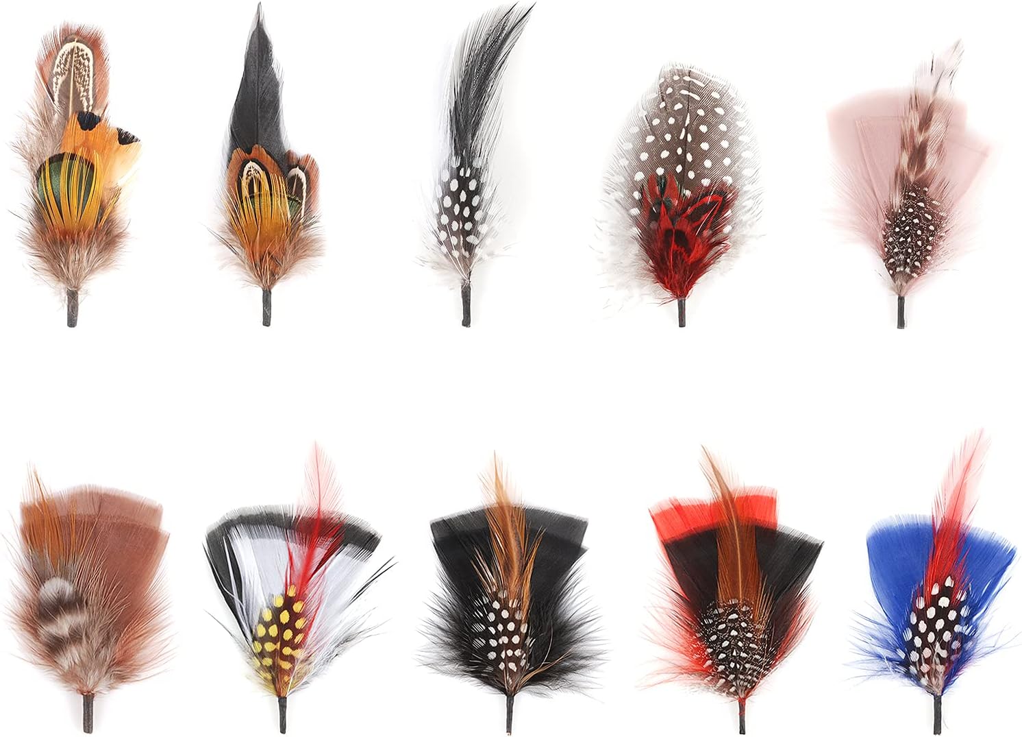 Hat Feathers, 10 Pcs Assorted Natural Feather Packs Accessories for Fedora, Cowboy, Open Road, Borges, Scott, Trilby Hats