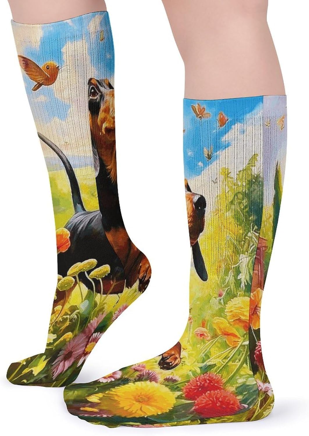 Dachshund Crew Socks Casual Breathable Calf Socks | Cushion Running Athletic Socks Long Performance Breathable Sports Socks for Women Men